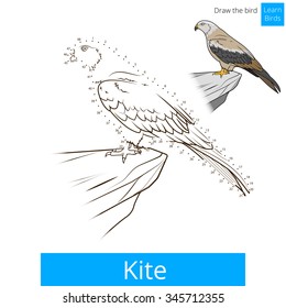 Kite bird learn birds educational game coloring book vector illustration