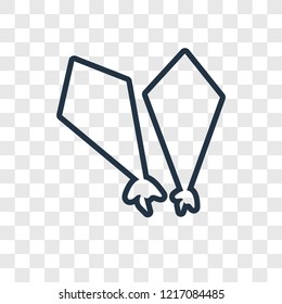 Kite concept vector linear icon isolated on transparent background, Kite concept transparency concept in outline style