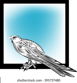 Kite,
Kite,All elements are in separate layers color can be changed easily.    