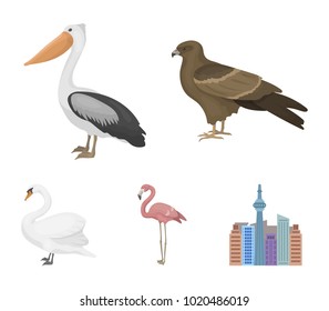 Kite, pelican, flamingo, swan. Birds set collection icons in cartoon style vector symbol stock illustration web.