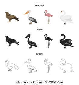 Kite, pelican, flamingo, swan. Birds set collection icons in cartoon,black,outline style vector symbol stock illustration web.