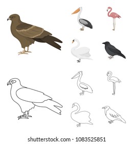 Kite, pelican, flamingo, swan. Birds set collection icons in cartoon,outline style vector symbol stock illustration web.