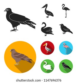 Kite, pelican, flamingo, swan. Birds set collection icons in black, flat style vector symbol stock illustration web.