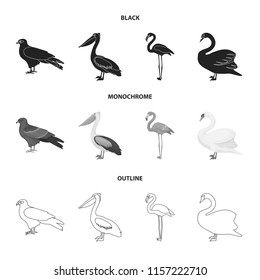 Kite, pelican, flamingo, swan. Birds set collection icons in black,monochrome,outline style vector symbol stock illustration web.