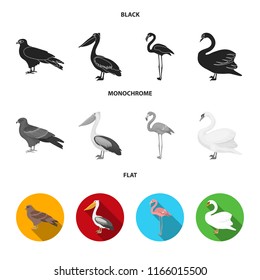 Kite, pelican, flamingo, swan. Birds set collection icons in black, flat, monochrome style vector symbol stock illustration web.