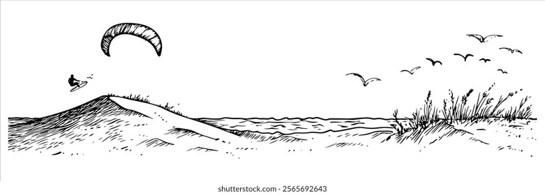 kite surfer over sandy dunes with ocean and birds illustration