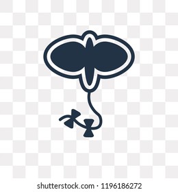 Kite vector icon isolated on transparent background, Kite transparency concept can be used web and mobile