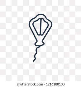 Kite vector outline icon isolated on transparent background, high quality linear Kite transparency concept can be used web and mobile