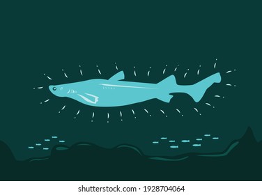 A kitefin shark glows in the dark by using its bioluminescence trait.  Editable Clip art.                     