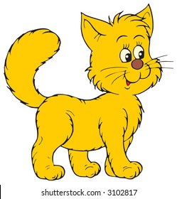 Kitten