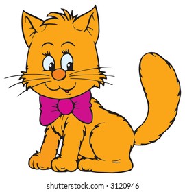 Kitten
