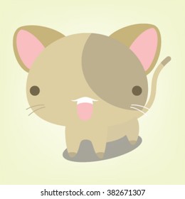 Kitten