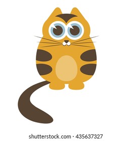 kitten 