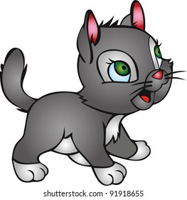 Kitten