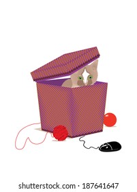 Kitten afraid of the mouse  hiding in a box 