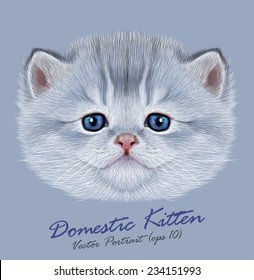 Kitten animal cute face. Vector funny little cat head portrait. Realistic fur portrait of little silver kitty isolated on blue background.