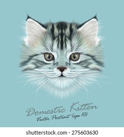 Kitten animal cute face. Vector funny cat head portrait. Realistic fur portrait of little grey kitty isolated on blue background.