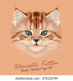 Kitten animal cute face. Vector funny cat head portrait. Realistic fur portrait of little red kitty isolated on beige background.