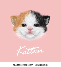 Kitten animal cute face. Vector funny newborn tiny cat head portrait. Realistic fur portrait of little black white and gold kitty isolated on pink background.