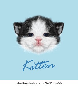 Kitten animal cute face. Vector funny newborn tiny cat head portrait. Realistic fur portrait of little black and white kitty isolated on blue background.