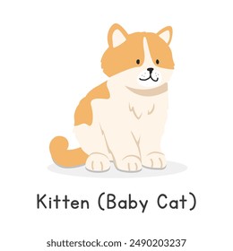 Kitten (baby cat) vector illustration. Cute kitten cartoon clipart, animal in flat style. Farm animals concept, rural farming. Livestock animal baby cat vector design isolated on white background