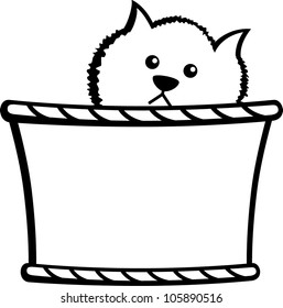 kitten in basket