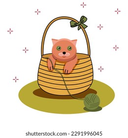 A kitten in a basket