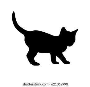 Kitten black silhouette on white background. Vector illustration