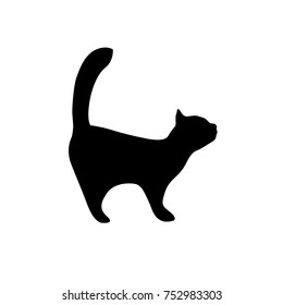 Kitten black silhouette on white background. Cat icon