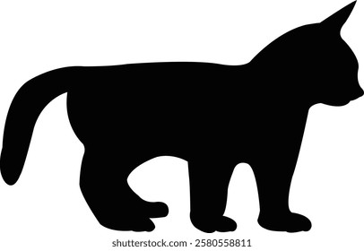 a kitten body silhouette vector