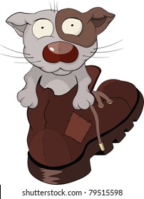 Kitten in a boot. Cartoon