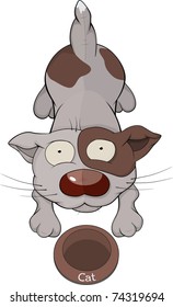 Kitten and a bowl. Cartoon