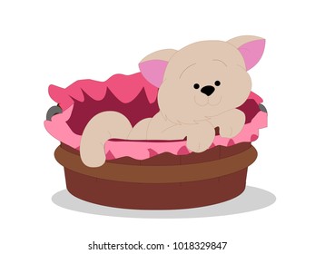 Kitten in Brown Basket Vector Image