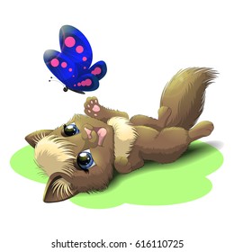 Kitten and butterfly