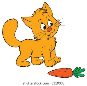 Kitten and carrot