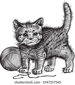 The kitten, a cat with a ball of wool, vector illustration. Vintage graphics and handwork. The cat stands near the ball of wool and wants to play with it. Collection of pets.