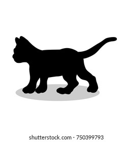 Kitten cat pet black silhouette animal. Vector Illustrator.	