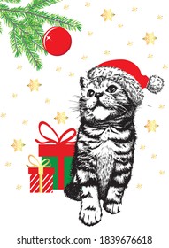 Kitten cat with santa hat look on Christmas ball. Hand drawn sketch. Christmas vector illustration.