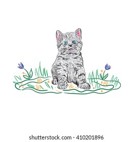 kitten cat in sketch style, vector illustration
