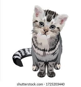 Kitten Cat Vector Design Illustration