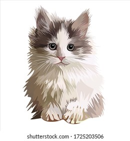 Kitten Cat Vector Design Illustration
