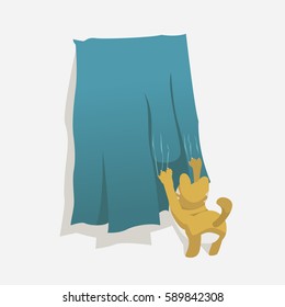 kitten clawing curtains