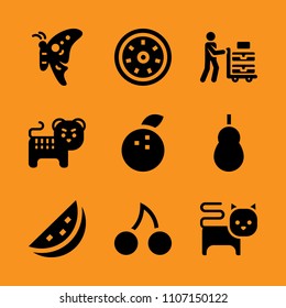 kitten, consumer, purchase and online icon set. Vector illustration for web and design.