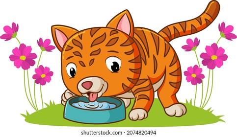 The kitten are drinking the water in the garden of illustration