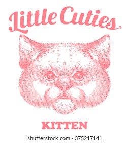 Kitten Face