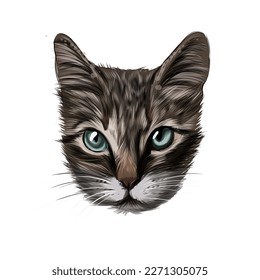 Kitten face portrait, cat face from multicolored paints. Splash of watercolor, colored drawing, realistic. Vector illustration of paints