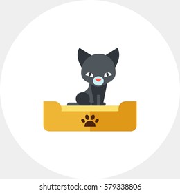 Kitten Flat Icon