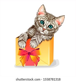 Gatito en una caja de regalo. Un gato chiflado