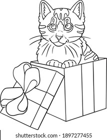 
Kitten in a gift coloring book