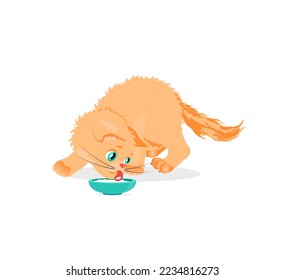 kitten ginger cheerful character for animation lapping milk mode of the day breakfast lunch food biology fauna rearing from a plate eats with a tongue